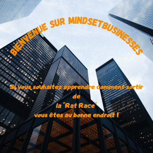 Bienvenue sur Mindsetbusinesses